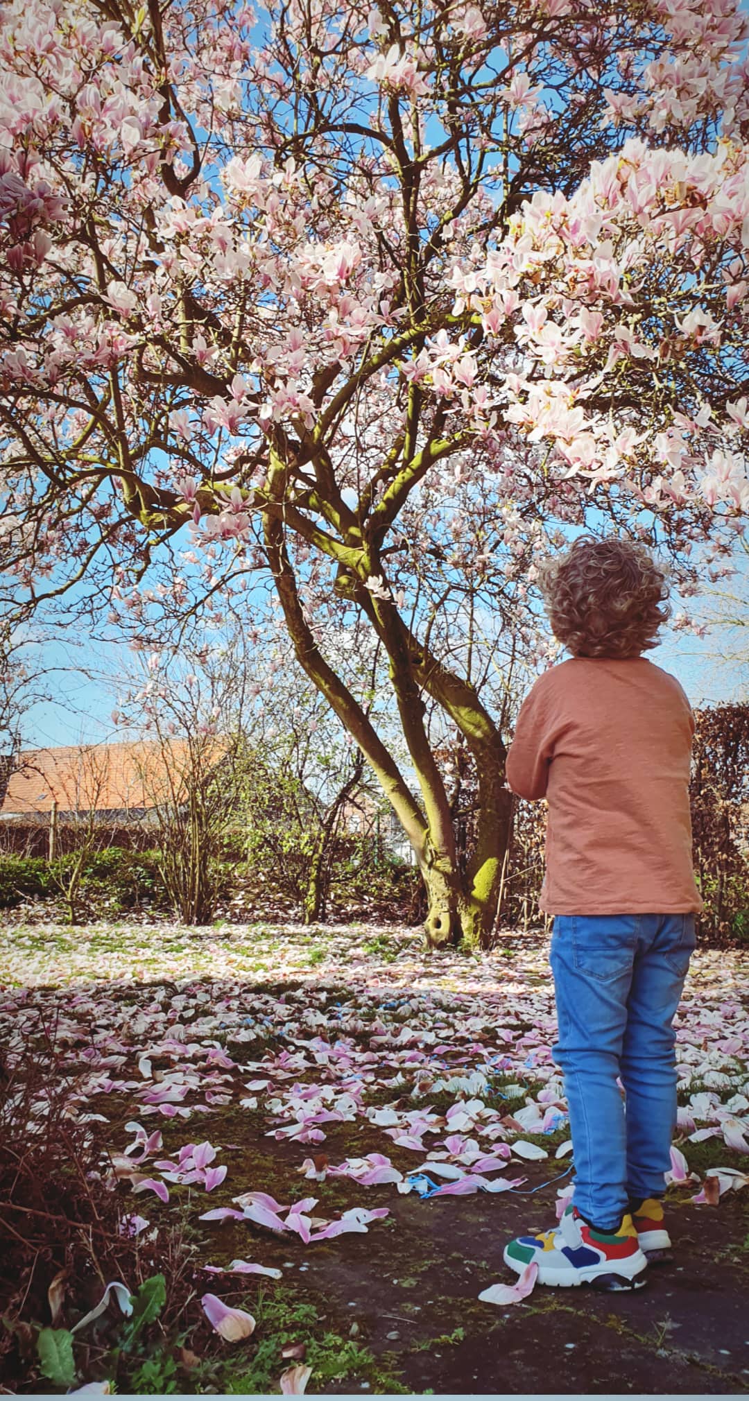 Maskers af. (definitief)