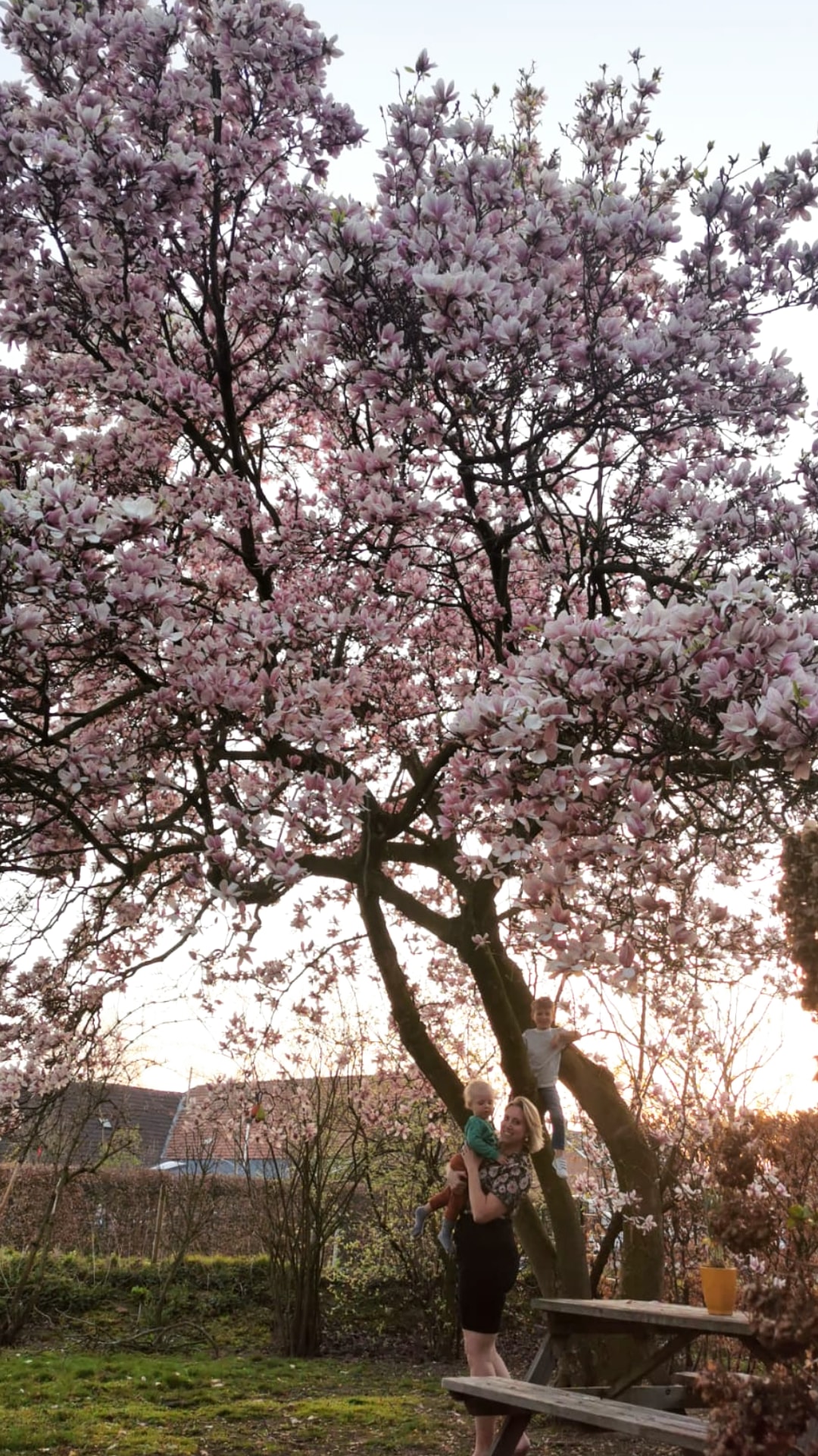 IMG_20210427_061904_303