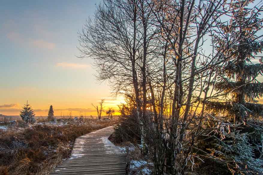 001.-hoge-venen-winterwandelen