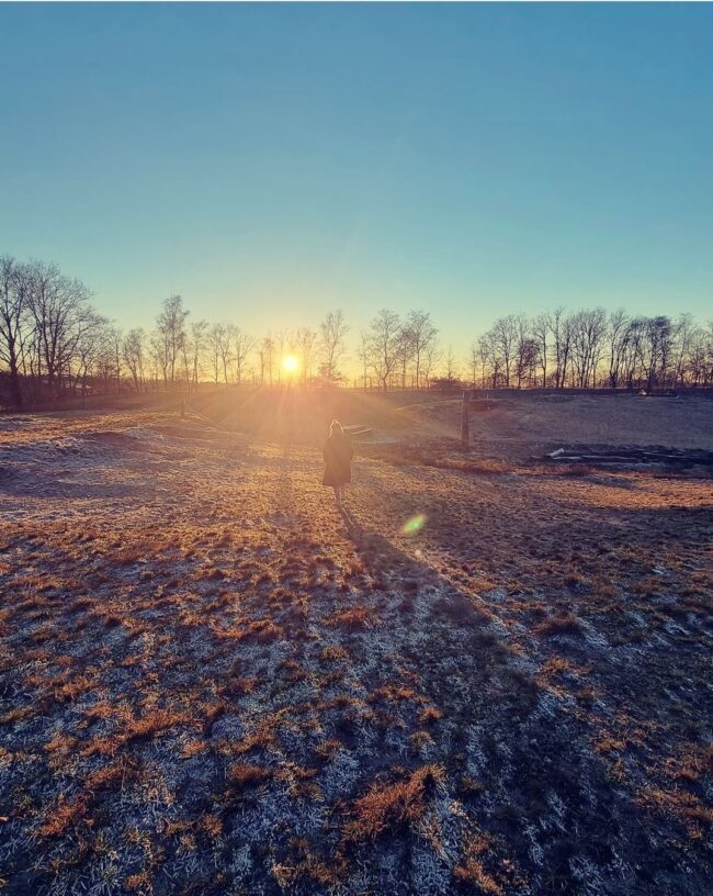 Screenshot_20220213-005947_Instagram