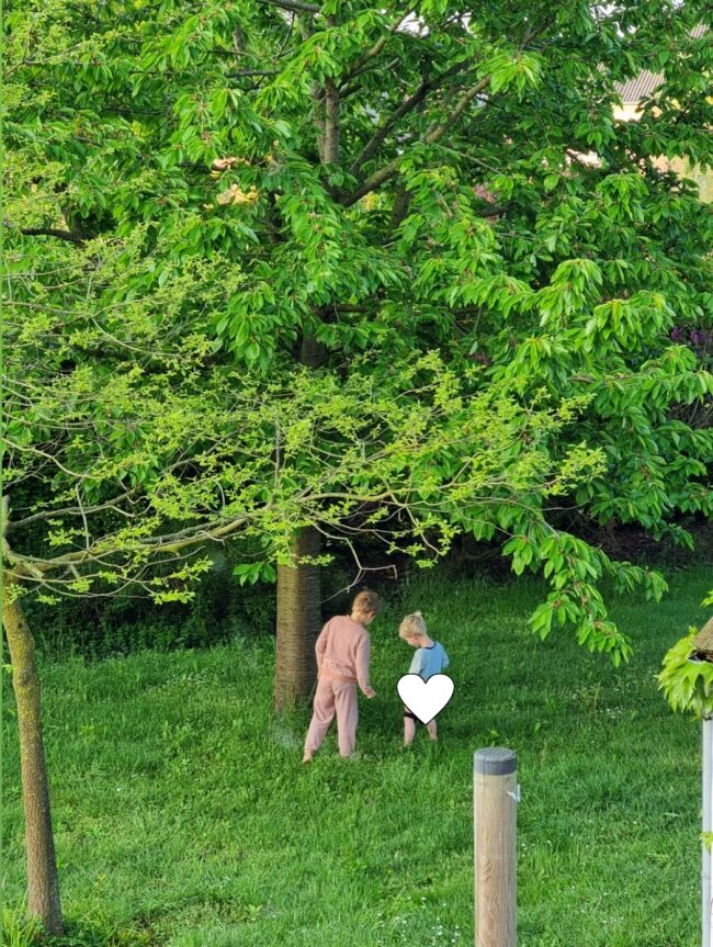 Screenshot_20230524_094704_Instagram